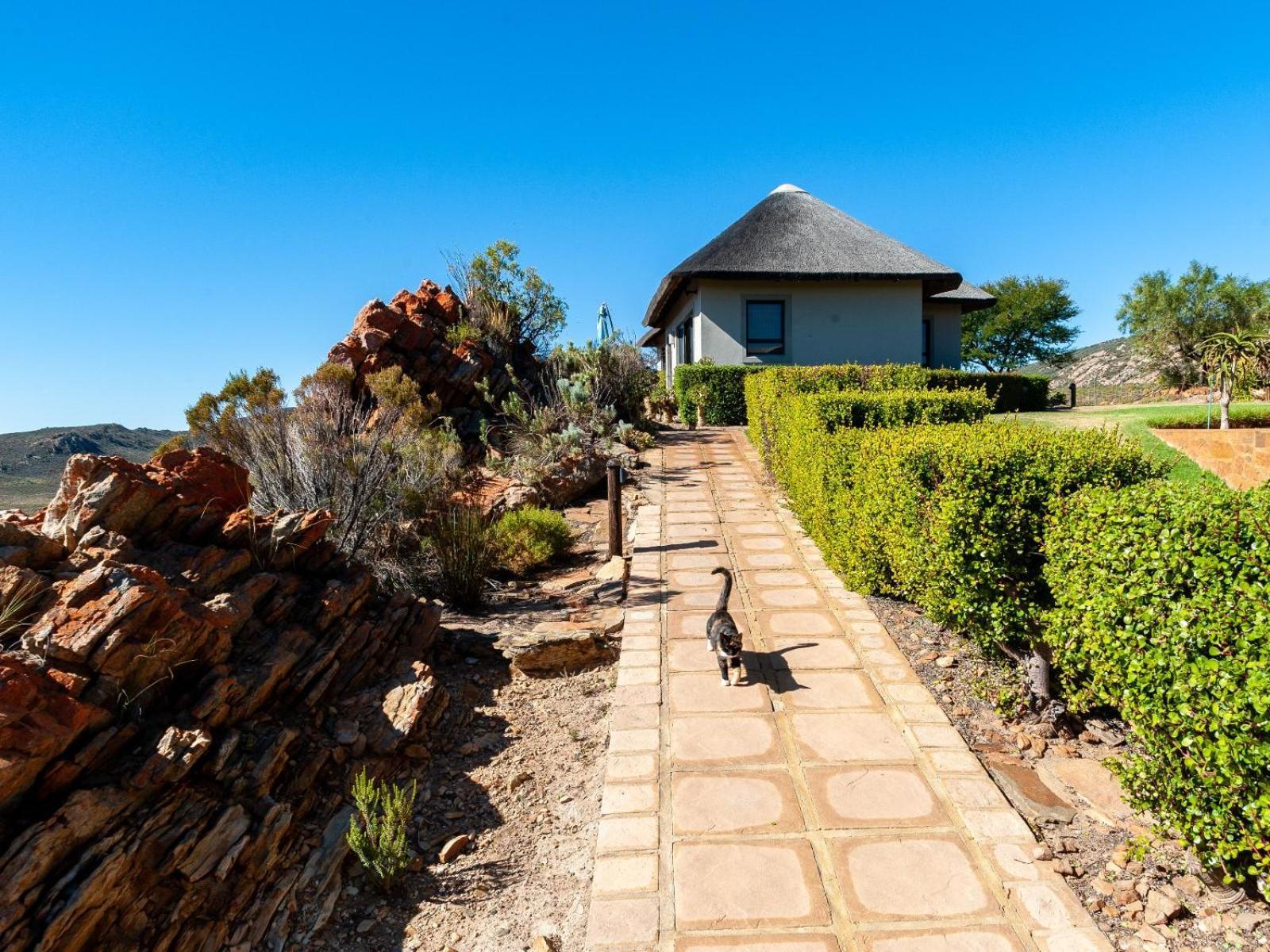 Rooilande Guest Farm Laingsburg Exterior foto